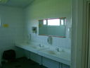 toilets1.jpg