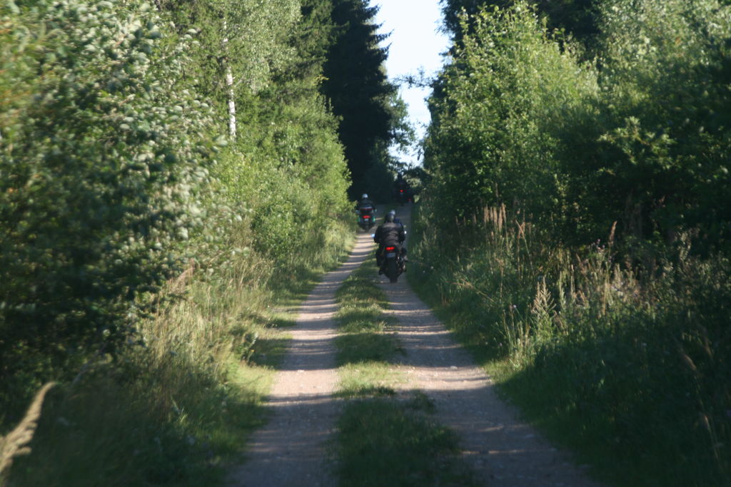 img_1202.jpg