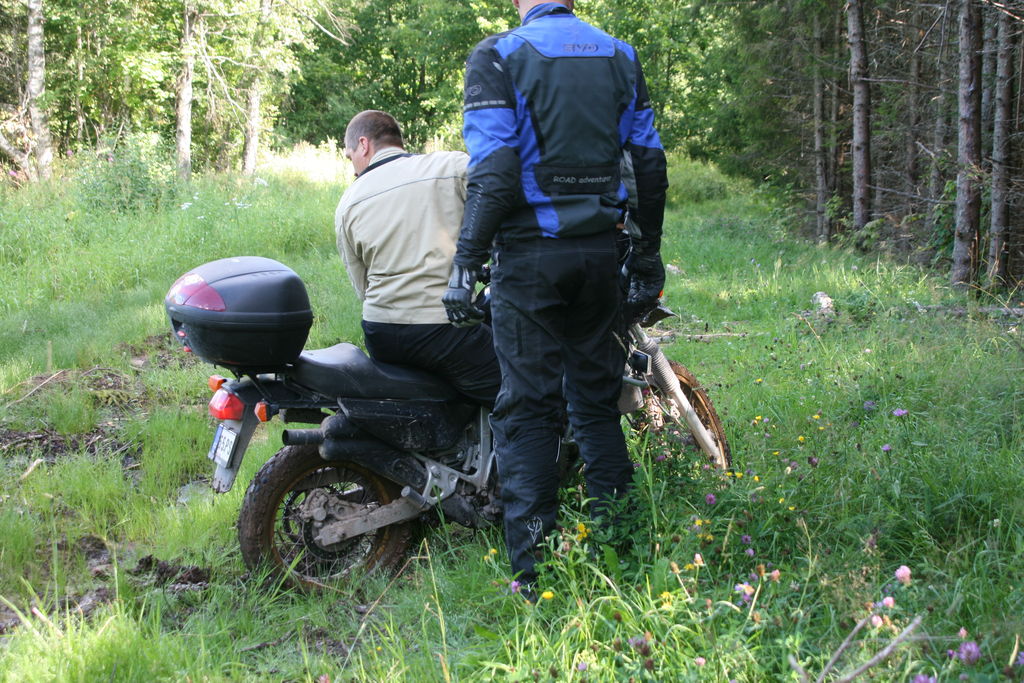 img_1485.jpg