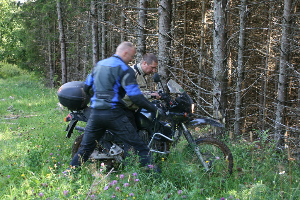 img_1487.jpg
