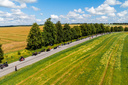 dji_0710.jpg