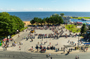 dji_0833.jpg