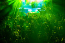 ras_8224.jpg
