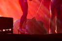 ras_8546.jpg