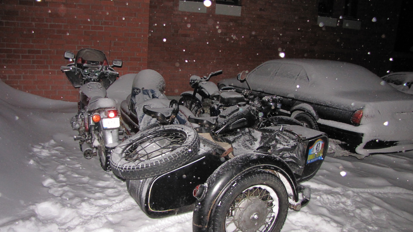 IMG_8729.jpg