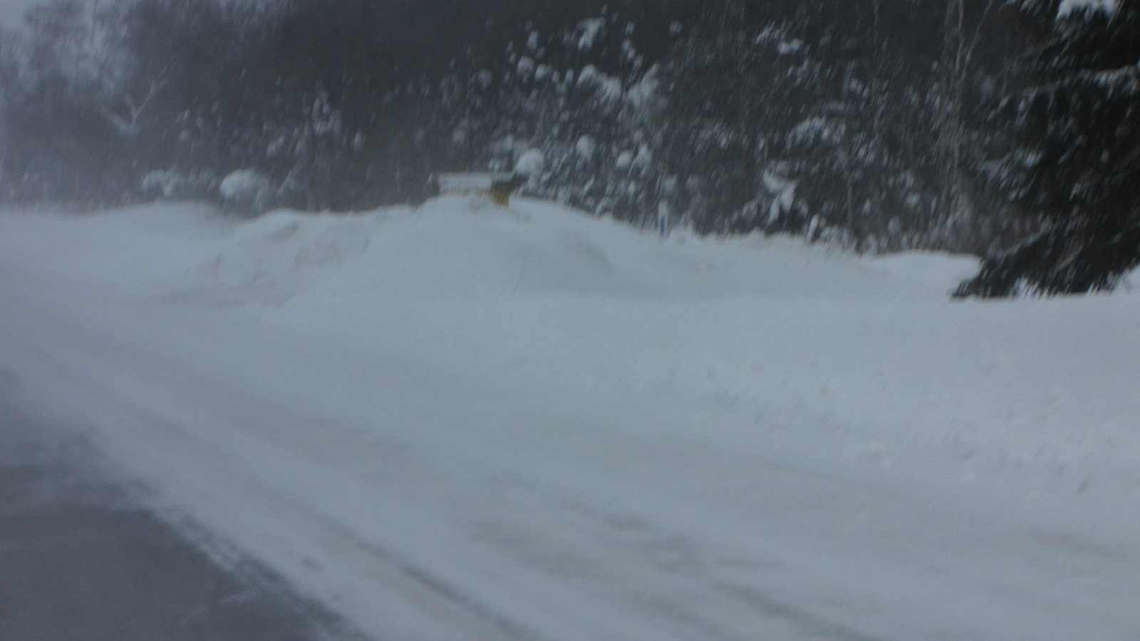 IMG_8746.jpg