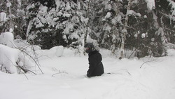 IMG_8674.jpg