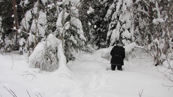 IMG_8678.jpg