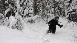 IMG_8680.jpg