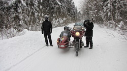 IMG_8682.jpg