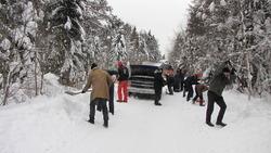 IMG_8684.jpg