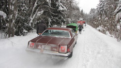 IMG_8687.jpg