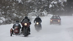IMG_8703.jpg
