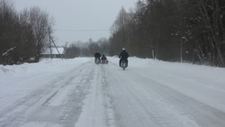 IMG_8715.jpg