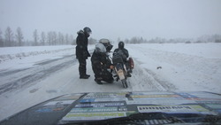 IMG_8721.jpg