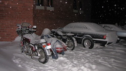 IMG_8725.jpg