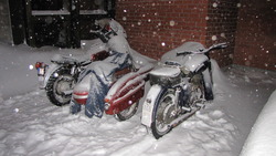 IMG_8726.jpg