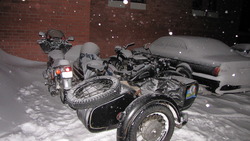 IMG_8729.jpg