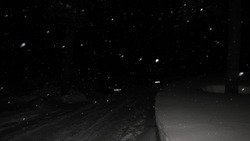 IMG_8734.jpg